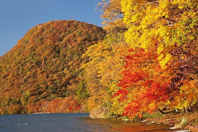 北海道花田