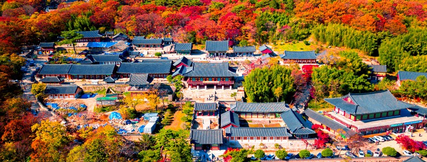 釜山梵魚寺楓葉